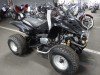  BUGGY BUGGY (  ())