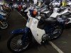  HONDA SUPER CUB 50 (  (, ))