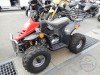  BUGGY BUGGY (  ())