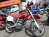  HONDA XR250 ( )