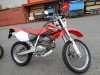  HONDA XR250 ( )