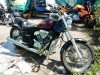  HONDA ()