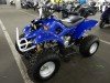  BUGGY BUGGY (  ())