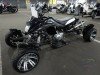  BUGGY BUGGY (  ())