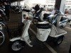  HONDA GYRO UP (  (, ))