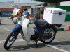  HONDA SUPER CUB 50 Fi (  (, ))