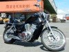  SUZUKI INTRUDER 800 ( )