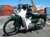  HONDA SUPER CUB 50 (  (, ))