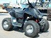  BUGGY BUGGY (  ())