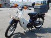  HONDA SUPER CUB 50 FI (  (, ))