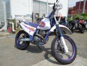  YAMAHA TT250R RAID  1