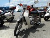  HONDA SUPER CUB 50 CUSTOM (  (, ))