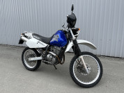  SUZUKI DJEBEL 250 XC  1