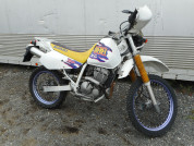  SUZUKI DJEBEL 250 XC  1