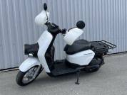  HONDA BENLY 50 PRO  1