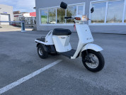  HONDA GYRO UP  1